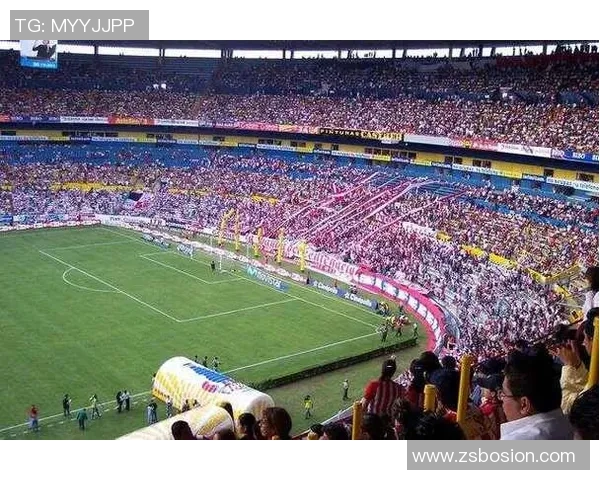 足球明星德伊夫的传奇之路与辉煌成就全景回顾